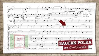 Bauern Polka [upl. by Rosel]