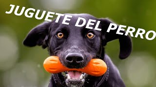 JUGUETE DEL PERRO Sonidos de juguete para perros Efectos de Sonido Squeaky Dog Toy Sound [upl. by Nitz402]