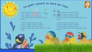 Un petit canard au bord de leau  Les petits minous [upl. by Koerner812]