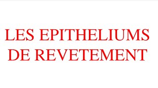 épithélium de revêtement  1ère année médecinemédecine dentaire [upl. by Dimo]