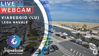 Viareggio Live Webcam  Lega Navale [upl. by Tiana]