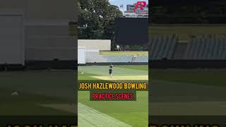 Josh Hazlewood back to his bowling practice joshhazlewood invsaus shorts youtubeshorts [upl. by Gunning]