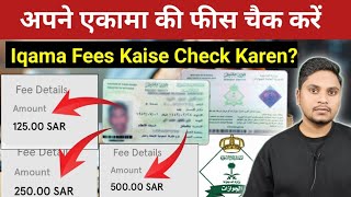 एकामा फीस चैक करने का नया तरीका  How To Check Iqama Fees Online [upl. by Namrak]