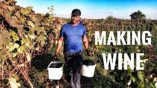 How to make Georgian wine Winemaking process from start to finish [upl. by Kashden]