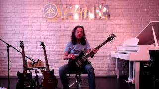 YAMAHA REVSTAR обзор [upl. by Atiuqcaj]