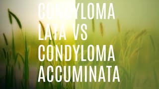 condyloma lata vs condyloma accuminata Learnmedicinewithme [upl. by Idnerb326]