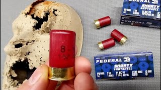 FEDERAL SHORTY SHOTSHELLS  Do They Work in Remington 870 amp Mossberg 500 Shotguns OPSol Mini Clip [upl. by Pasquale]