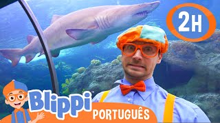 Blippi Ecnontra um Tubarão no Aquário  2 HORAS DO BLIPPI BRASIL  Vídeos Educativos para Crianças [upl. by Marianne811]