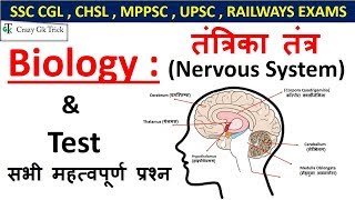 Gk  Nervous System  तंत्रिका तंत्र  For SSC CGL  CHSL  UPSC  RAILWAYS EXAMS [upl. by Alekat]