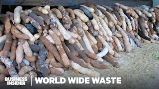 11 Ways People Make Money Off Americas Garbage  World Wide Waste  Business Insider Marathon [upl. by Onailime]