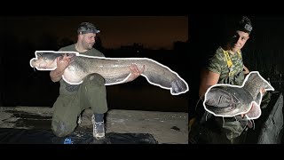 Monster Catfishing  We both caught our PB [upl. by Leckie427]