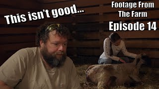 Footage From The Farm Episode 14  Dr Pol 911 Shocking Deformed Lamb  Emergency Lambing [upl. by Blanc]