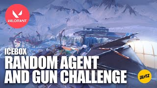 Random Gun and Agent Valorant Challenge [upl. by Akienat]