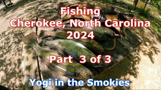 Fishing in Cherokee NC 2024 Part 3 [upl. by Eelamme]