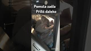 Pomsta byla teda pěkně Horká  foryou panda funnymemes funny humormemes cringe [upl. by Enahs]