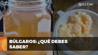 ✅ Búlgaros de leche y agua beneficios y precauciones  Salud180 🌿 [upl. by Drarig]