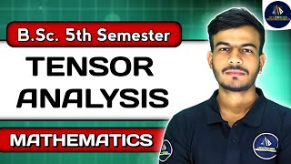 Tensor Analysis  Tensor Analysis in Hindi  BSc Maths 5th Semester [upl. by Dlorah]