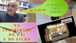 LEITURA ORANTE  14 DOMINGO TEMPO COMUM  Mt 112530 [upl. by Steffi]