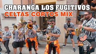 Charanga Los Fugitivos  CELTAS CORTOS  Candas2023 [upl. by Marlen277]