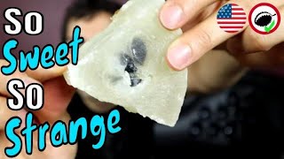 Sharkfin Melon Candy Review Dulce de Chilacayote [upl. by Kcirdderf]