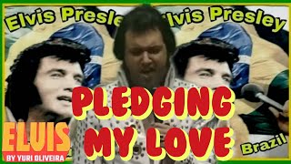 Pledging My Love  Elvis Presley elvispresley music sally elvispresleysong musica cover [upl. by Oznarol668]