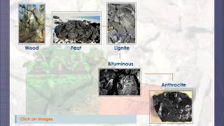 Types of Coal [upl. by Alak614]