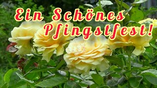 Frohe Pfingsten Ich wünsche Euch ein schönes Pfingstfest 🌹 Schönen Pfingstmontag💝 Pfingstgrüße💌 [upl. by Niabi130]