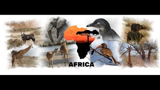 Afrika 2024 [upl. by Eldora]