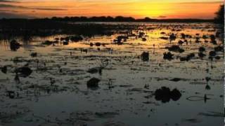 Bangweulu Wetlands Zambia Africa [upl. by Lunt13]