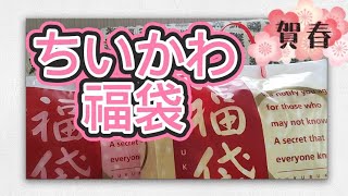 【ちいかわ】ちいかわ福袋2024！2袋開封した結果がやばすぎた…【福袋】 ちいかわ ちいかわグッズ 福袋 [upl. by Gensler]