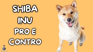 Shiba Inu Pro e Contro [upl. by Salbu729]