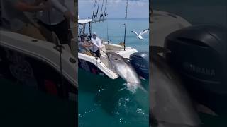 quotMassive Tuna Caught on Rod Epic Fishing Struggle in the SeaFishing Pesca Pêche Angeln Pesca [upl. by Pulchia]