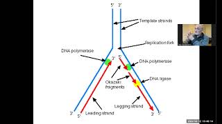 46 cell cycle 4 [upl. by Atilol]