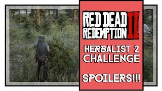 Red Dead Redemption 2 Herbalist 2 Challenge Guide SPOILERS [upl. by Ahseken]