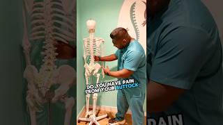 Sciatica Pain No Problem Just Do This One Exercise Every Day sciatica sciaticpain [upl. by Brannon701]