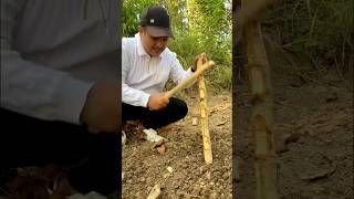 Worm Charming worms fyp diy lifehacks experiment [upl. by Adamski]