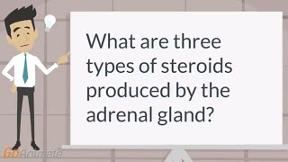 What are the types of steroids produced by the adrenal gland [upl. by Shoshanna]