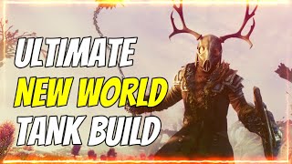 The Ultimate New World Tank Build for PvE [upl. by Adnamas]