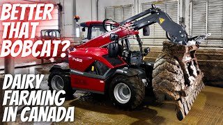 Is This A Viable Bobcat Replacement Weidemann T4512 Demo [upl. by Chancellor656]