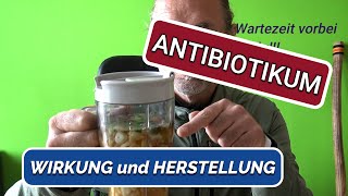 Natürliches Antibiotikum  Wirkung amp Herstellung 💪➡ Ich schwöre drauf‼ [upl. by Yssac829]