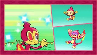 LIVE Shiny Chimchar After 4704 SRs in Platinum DTQ1 [upl. by Anatole396]