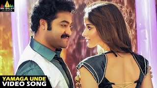 Shakti Songs  Yamaga Unde Video Song  Jr NTR Ileana  Sri Balaji Video [upl. by Retsim]