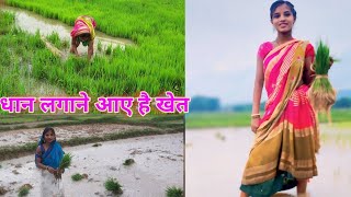 Dhaan lagane aaye hai khet  newvlogs kheti badi [upl. by Apps727]