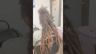 Freeform Dreads to Traditional Locs  Results after 1 year 👀🔥 [upl. by Aidile]