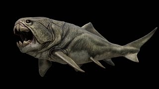 Dunkleosteus  Devonian Prehistoric Fish  rigged amp animated 3D model [upl. by Eniruam304]