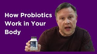 🦠 How Probiotics Work in Your Body OrthoBiotic w Shawn Needham RPh Moses Lake Professional Pharmacy [upl. by Esimehc]