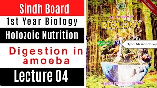 digestion in amoeba  class 11  holozoic nutrition  first year biology Sindh board new book [upl. by Zucker]