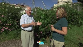 Rencontre avec Mgr Riocreux l’évêque de Guadeloupe après louragan Irma [upl. by Imat685]