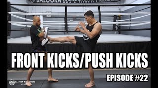 BKA  Episode 22  Front KicksPush Kicks [upl. by Efioa]