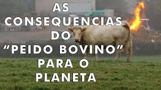 O que acontece com o planeta quando as vacas soltam pum [upl. by Bore]